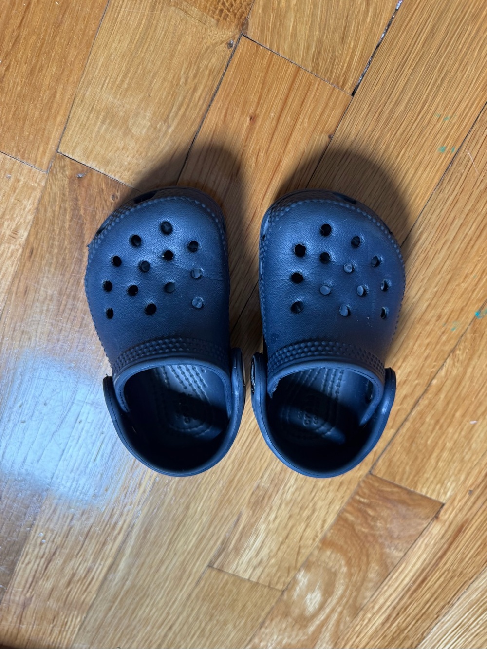 Little Kids Navy Blue Crocs